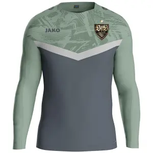 Camisa de mangas longas VfB Stuttgart Iconic International 2024/25 image-0