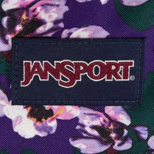 Rugzak Jansport Driver 8 image-5
