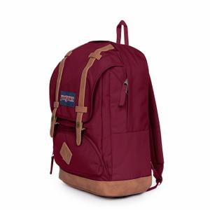 product/j/a/jansport_ek0a5bbwn621_3.jpg