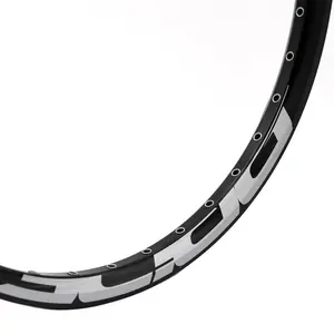 Πίσω ζάντα Pride Racing Control Disc 36h Pro image-2