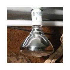 Lighting JBL Solar Uv-Spot Plus 100W (x2) image-0