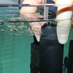 Innenfilter jbl procristal i30  image-6