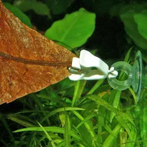 Zubehör für Aquarien JBL (x2) image-1