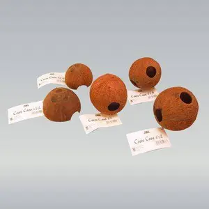 Coconut shell JBL Cava 1/1L image-2