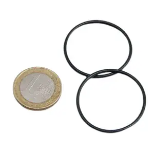 O-Ring JBL Procristal I30 (x2) image-0