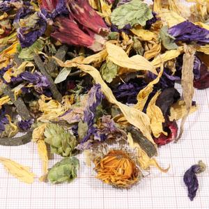 Dietary supplement JBL Proterra Florsil image-2