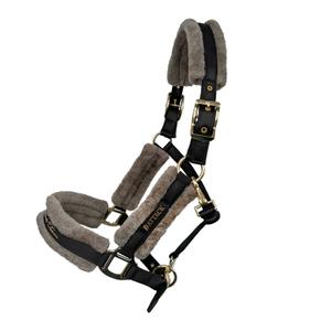 kan-mir-99x-palshalsband-for-hast-jd-attack-miracle-svart