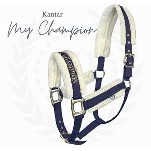 kan-myc-59x-palshalsband-for-hast-jd-attack-halter-my-champion-marinbla