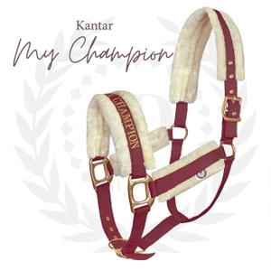 kan-myc-83x-palshalsband-for-hast-jd-attack-halter-my-champion-vinrod