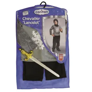 Lancelot knight disguise in case Jemini image-1