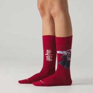 Chaussettes Jimmy Lion Harry Potter The Boy Who Lived image-2