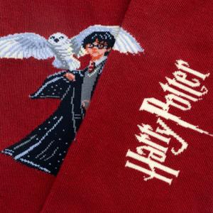 Chaussettes Jimmy Lion Harry Potter The Boy Who Lived image-3