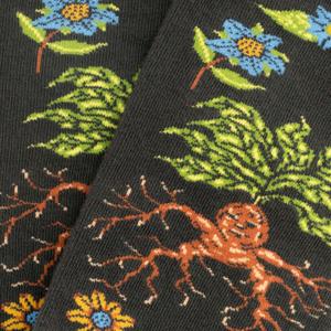 Chaussettes Jimmy Lion Harry Potter Herbology image-2