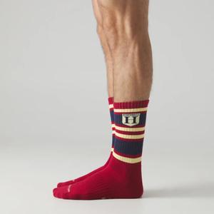 Chaussettes Jimmy Lion Athletic Harry Potter Hogwarts image-2