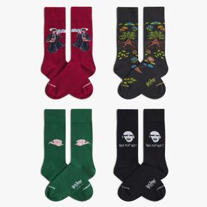 Chaussettes Jimmy Lion Harry Potter Pack image-1