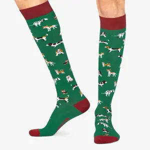 Calcetines Jimmy Lion KH Dogs image-2