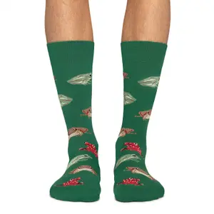 Chaussettes Jimmy Lion Frogs image-2