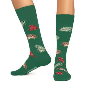 Chaussettes Jimmy Lion Frogs image-1
