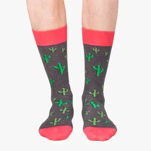 Calcetines Jimmy Lion Cactus image-2