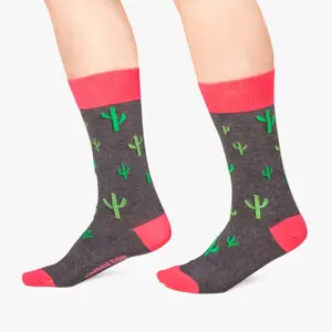 Calcetines Jimmy Lion Cactus image-1