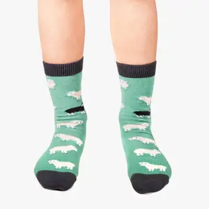 Children's socks Jimmy Lion Black Sheep image-1