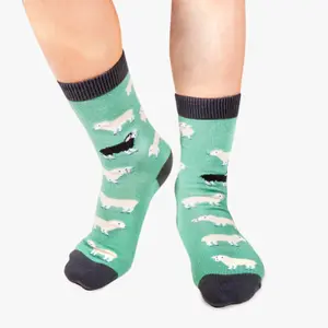Children's socks Jimmy Lion Black Sheep image-2