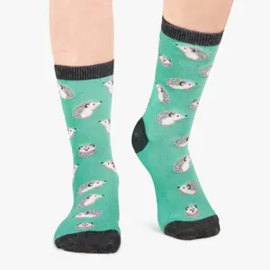 Children's socks Jimmy Lion Hedgehog image-1
