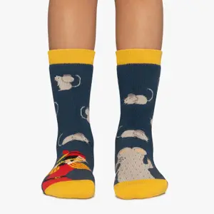 Baby socks Jimmy Lion Pied Piper image-1