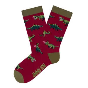 Children's socks Jimmy Lion Jurassic Dinos image-0