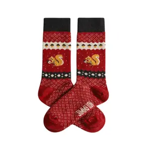 Calcetines Jimmy Lion Winter Squirrel image-0