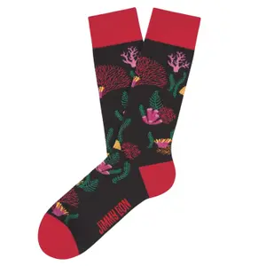 Calcetines Jimmy Lion Reef image-0