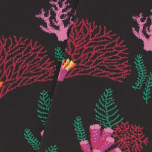 Calcetines Jimmy Lion Reef image-3