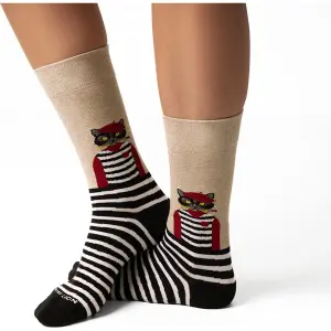 Calcetines Jimmy Lion Artist Cat image-2