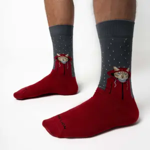 Football Socks Jimmy Lion Raining Cat image-1