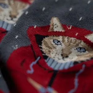 Football Socks Jimmy Lion Raining Cat image-3