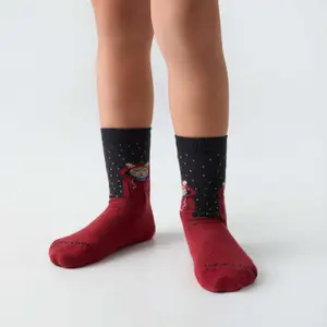 Baby socks Jimmy Lion Raining Cat image-0