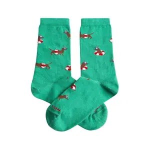 Baby socks Jimmy Lion Lifeguard Dog image-0