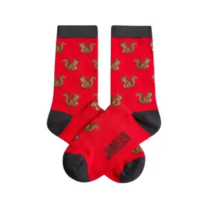 Children's socks Jimmy Lion Squirrels image-0