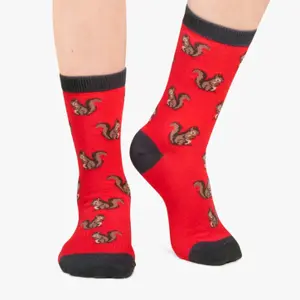 Children's socks Jimmy Lion Squirrels image-1