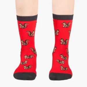 Children's socks Jimmy Lion Squirrels image-2