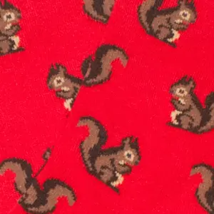 Children's socks Jimmy Lion Squirrels image-3