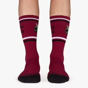 Calcetines Jimmy Lion Athletic Triceratop image-2
