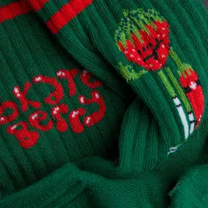 Children's socks Jimmy Lion Athletic Skateberry image-2