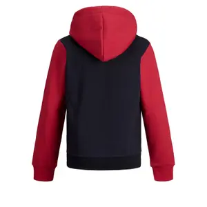 Child hoodie Jack & Jones JJelogo blocking image-1
