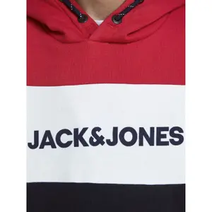 Child hoodie Jack & Jones JJelogo blocking image-4