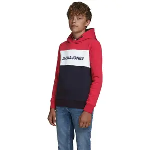 Child hoodie Jack & Jones JJelogo blocking image-6