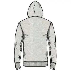 Sudadera con capucha Franklin Marshall image-1