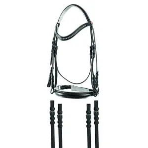 br00220-dressurtrense-reiten-jm-c-brillantini-schwarz-tu