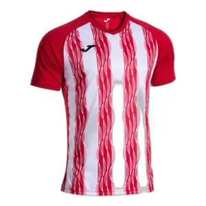 Maillot Joma Inter V image-0