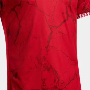 Camisola Joma Corta Gold VII image-3